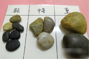 幼儿园科学区材料图片5张