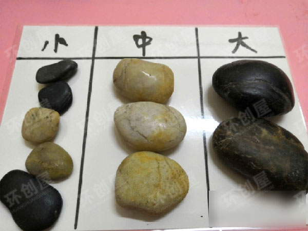 幼儿园科学区材料图片
