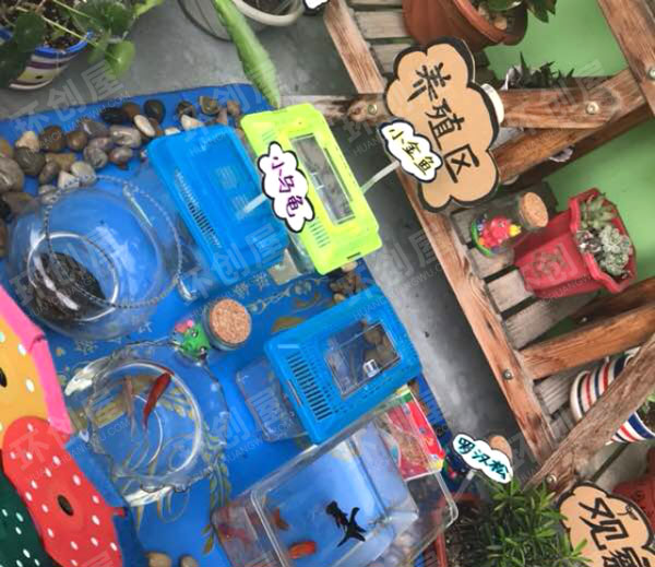 幼儿园走廊环创植物角图片