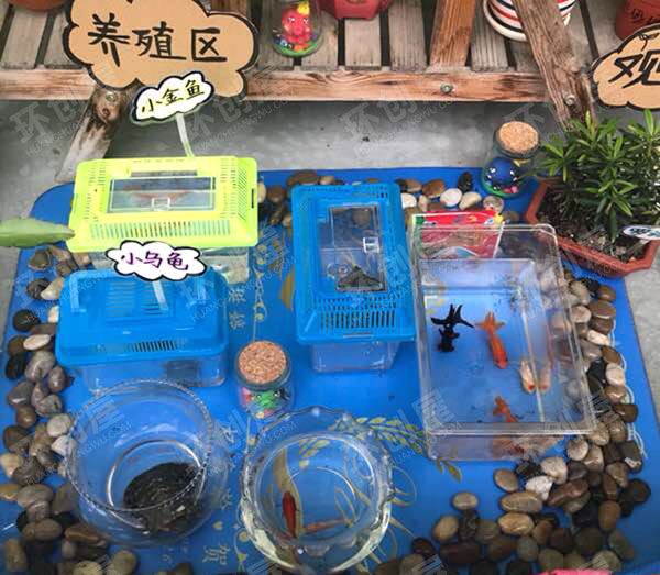 幼儿园走廊环创植物角图片