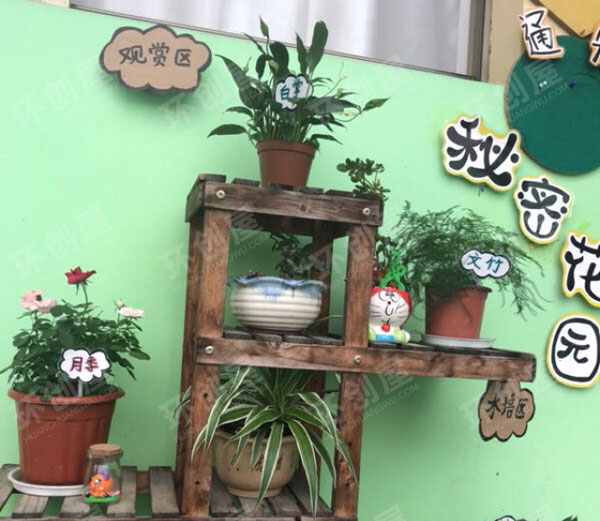 幼儿园走廊环创植物角图片