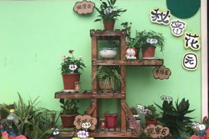 幼儿园走廊环创植物角图片9张