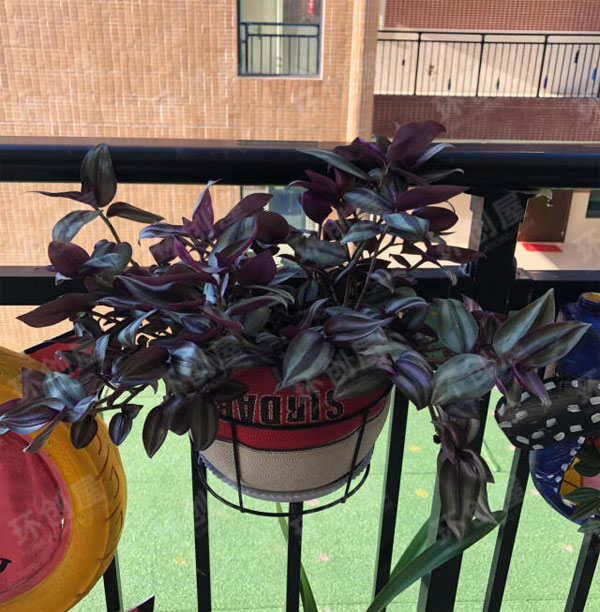 幼儿园户外植物角废物利用瓶瓶罐罐图片