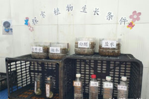 幼儿园探索植物生长条件图片3张