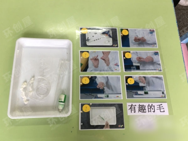 幼儿园科学小实验图片