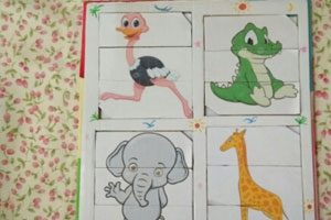 幼儿园益智区拼图图片9张
