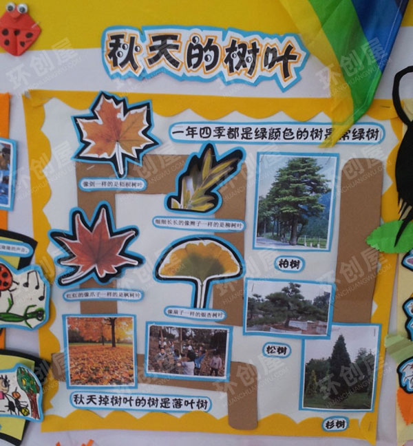 幼儿园主题墙在秋天里图片