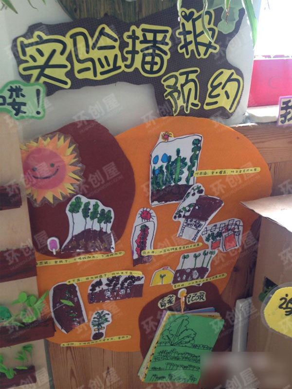 幼儿园走廊环创植物角图片