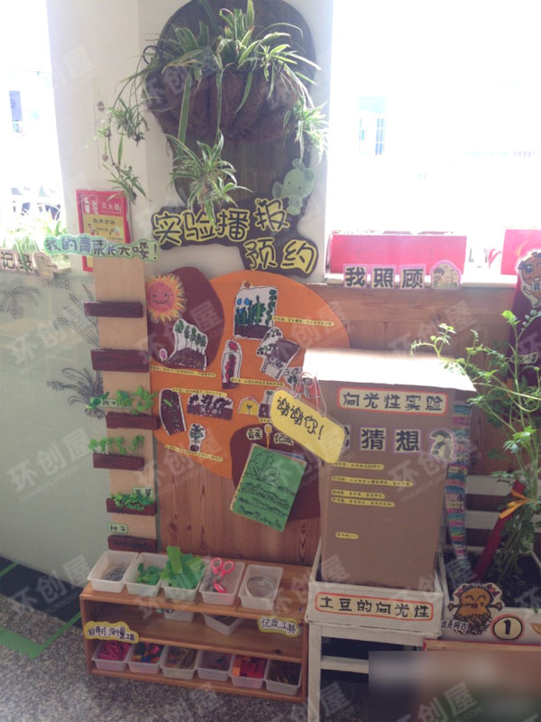 幼儿园走廊环创植物角图片