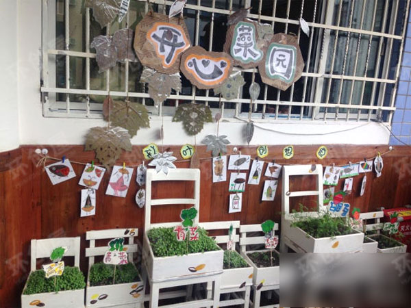 幼儿园走廊环创植物角图片
