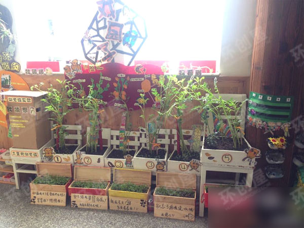 幼儿园走廊环创植物角图片