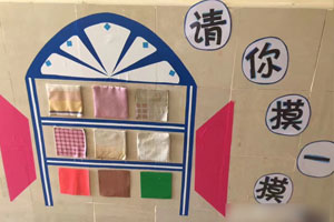幼儿园科学区墙面图片4张