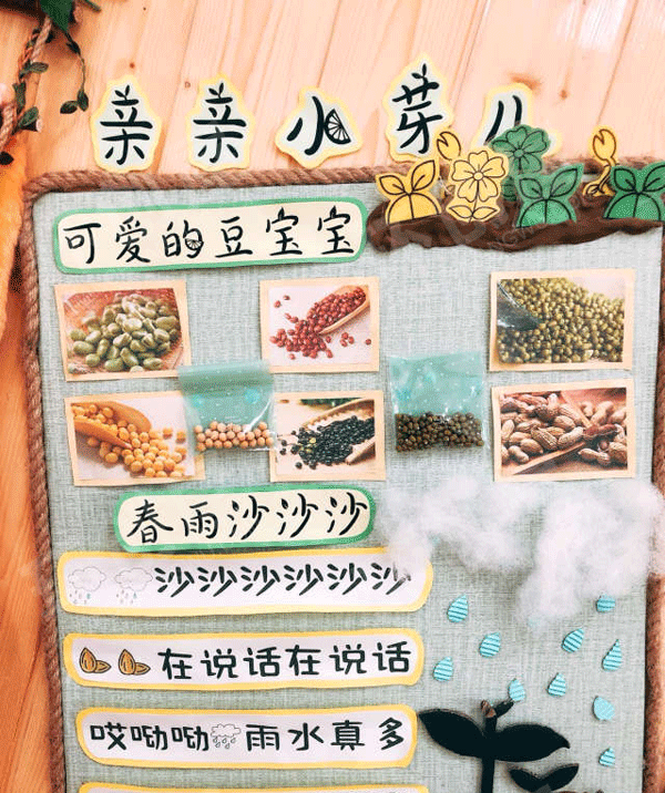 幼儿园互动式主题墙芽芽乐图片