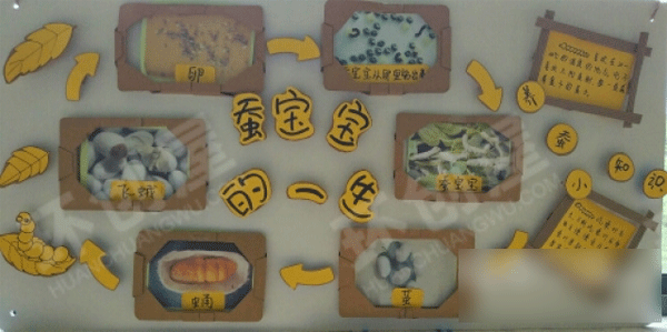 幼儿园展板走廊环境环创图片