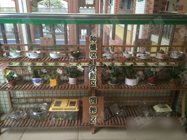 幼儿园户外植物角环境布置图片