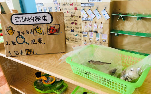 幼儿园科学环创生物发现图片