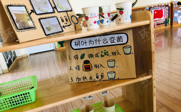 幼儿园科学环创生物发现图片