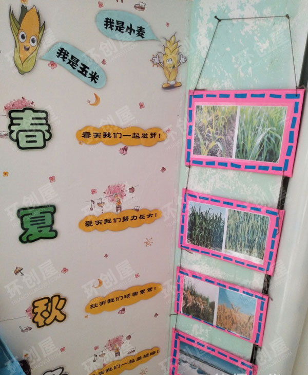 幼儿园科学区认识植物墙面图片