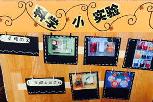 幼儿园科学小实验图片2张