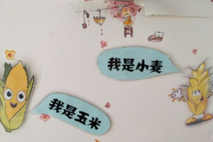 幼儿园科学区认识植物墙面图片7张