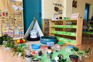 幼儿园科学环创生物发现图片9张