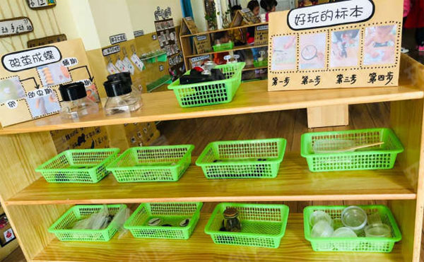 幼儿园科学环创生物发现图片