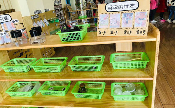 幼儿园科学环创生物发现图片