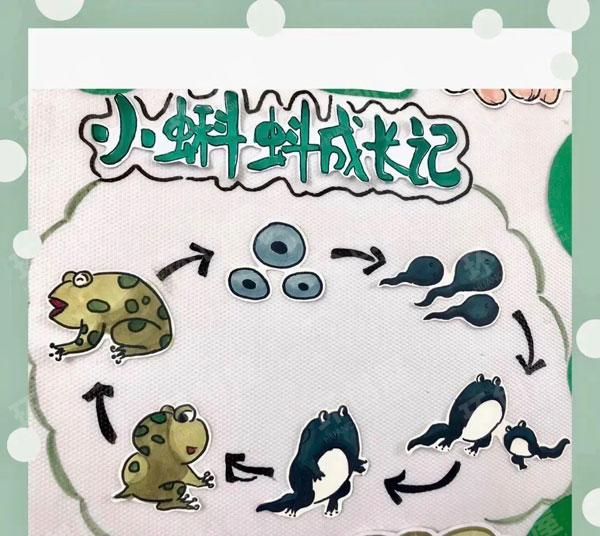 幼儿园我和春天有个约会主题墙图片