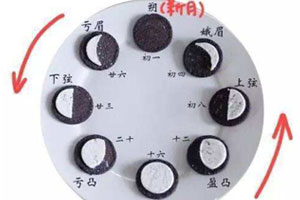 幼儿园科学区用奥利奥认识月相图片5张