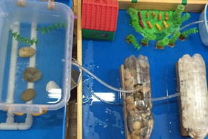 幼儿园益智区玩水试验图片8张