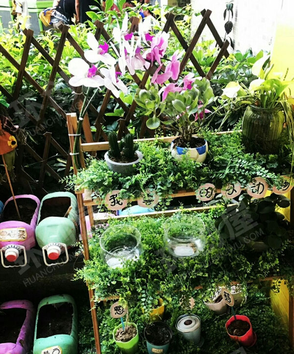 幼儿园户外植物角环创图片