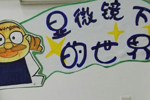 幼儿园真正好玩的科探区图片4张