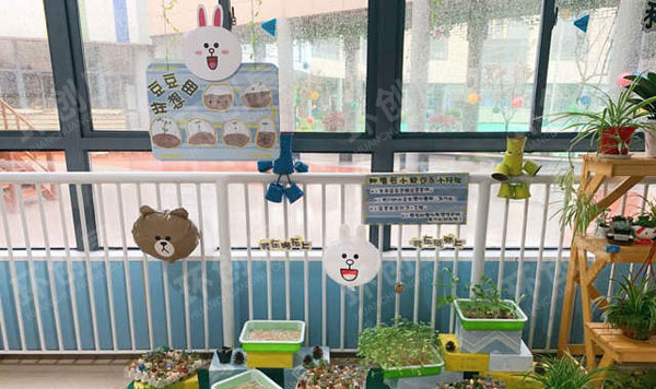 幼儿园自然角走廊环创图片