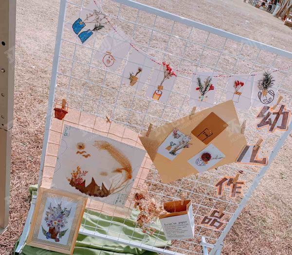 幼儿园户外环境布置干花世界图片