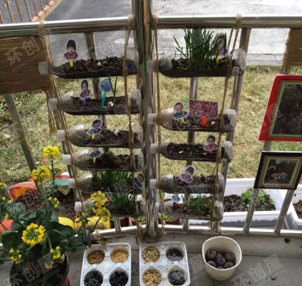 幼儿园户外环创开心农场植物角图片