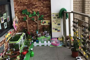 幼儿园户外环创开心农场植物角图片8张