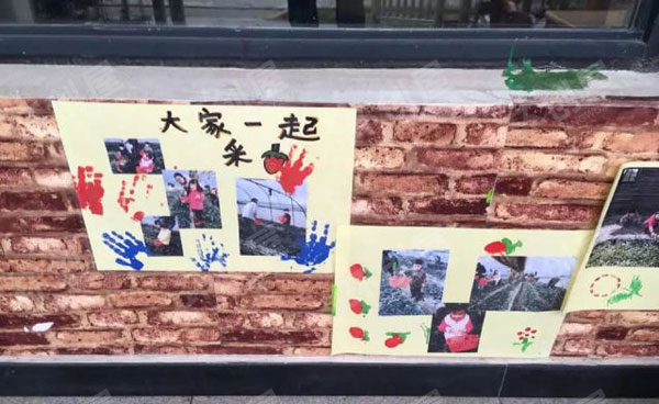 幼儿园户外环创开心农场植物角图片
