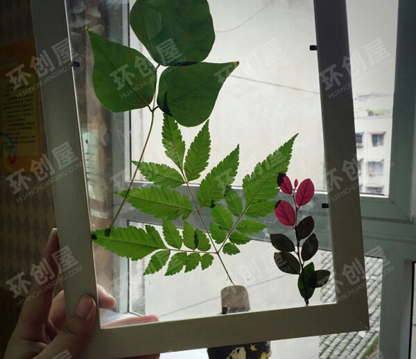 幼儿园美工区树叶拓印图片