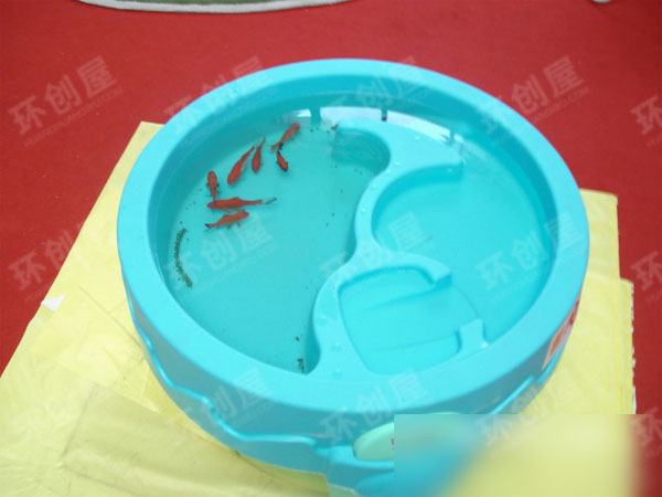 幼儿园科学区环创自制教玩具图片