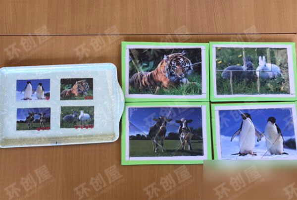 幼儿园益智区动物拼图图片