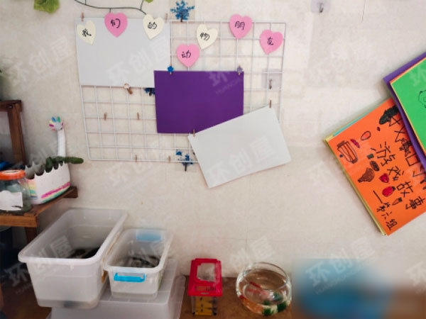 幼儿园走廊植物角环创图片