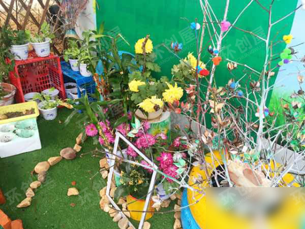 幼儿园户外轮胎造型植物角环创图片
