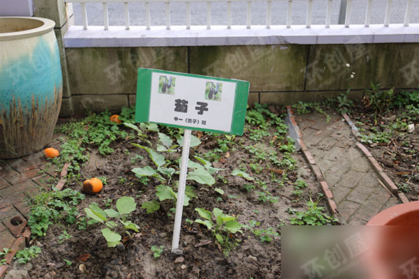 幼儿园户外种植区开心农场环创图片