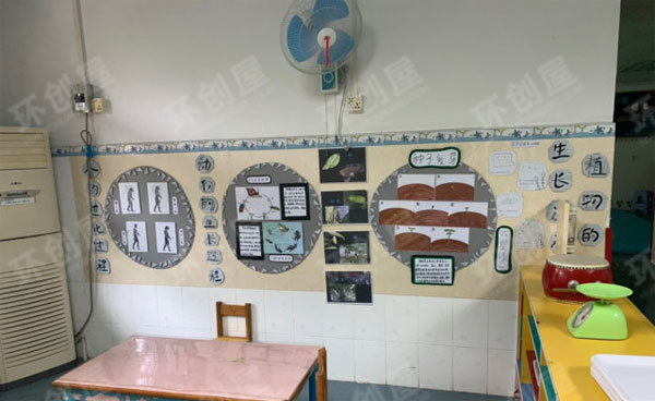 幼儿园科学区墙面布置图片
