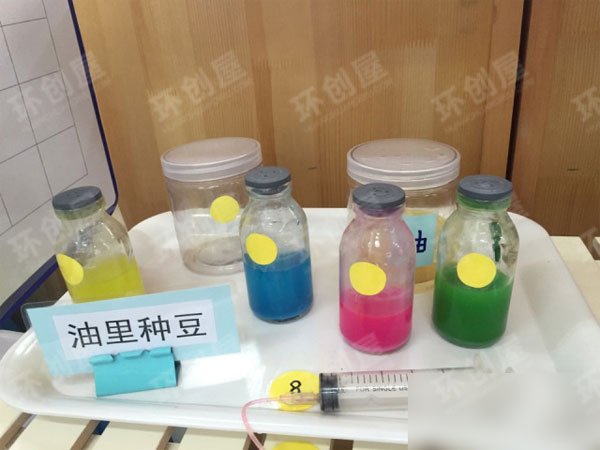 幼儿园益智区环创水的研究图片