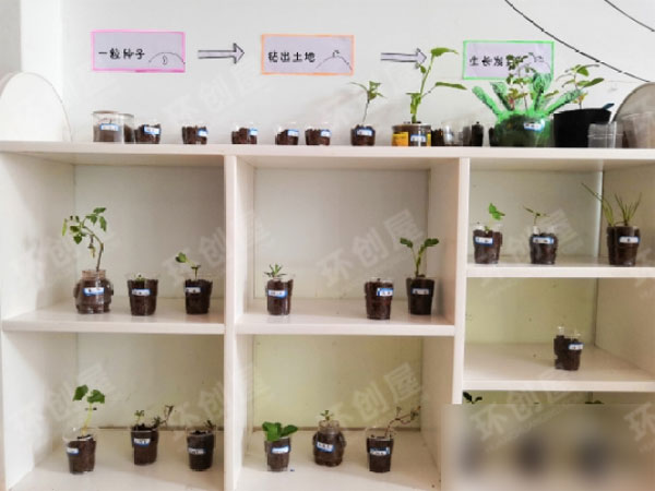 幼儿园综合区环创美丽的墙面图片