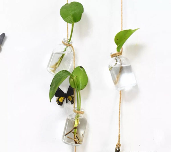 幼儿园植物区角吊饰图片