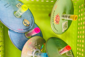 幼儿园科学区制作玩具图片3张