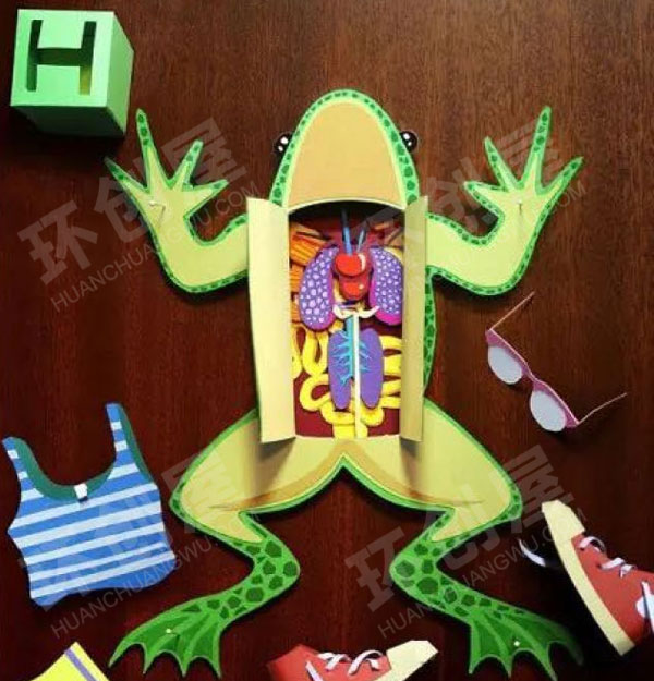 幼儿园科学区环创科学的秘密图片