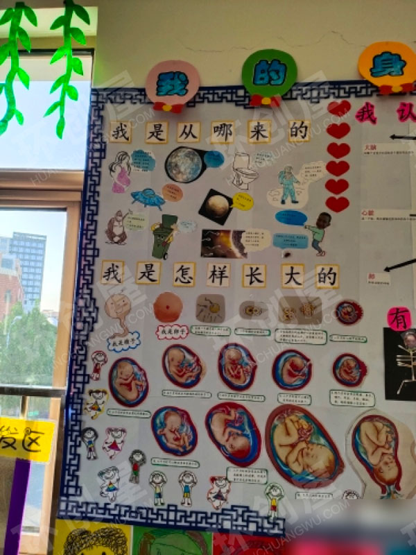 幼儿园综合区环创我的身体图片